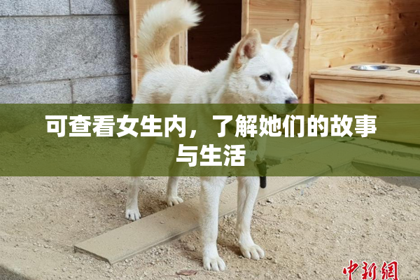 可查看女生内，了解她们的故事与生活