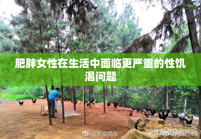 肥胖女性在生活中面临更严重的性饥渴问题