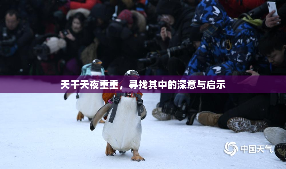 天干天夜重重，寻找其中的深意与启示