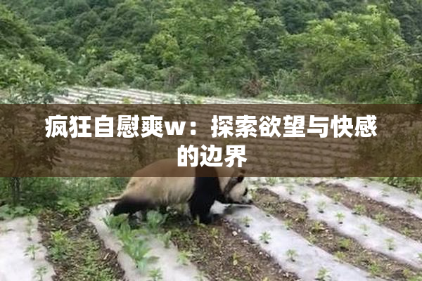 疯狂自慰爽w：探索欲望与快感的边界