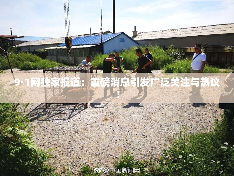 9·1网独家报道：重磅消息引发广泛关注与热议！