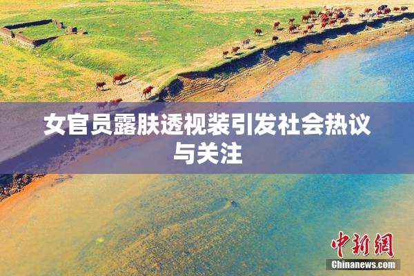 女官员露肤透视装引发社会热议与关注