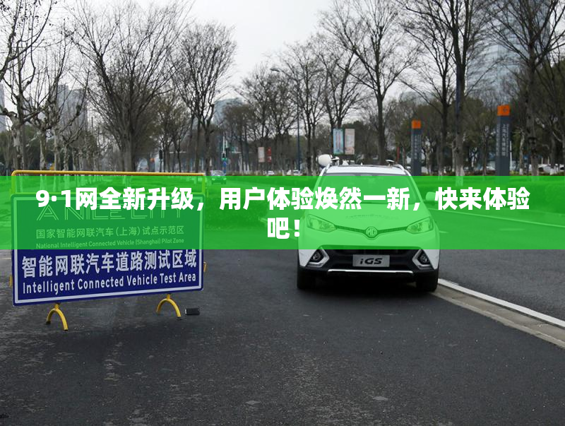 9·1网全新升级，用户体验焕然一新，快来体验吧！