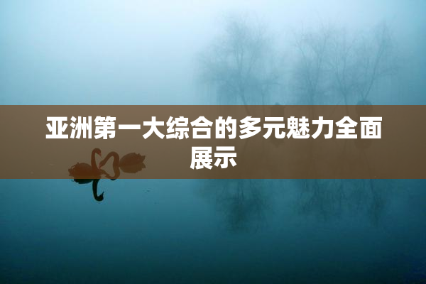 亚洲第一大综合的多元魅力全面展示