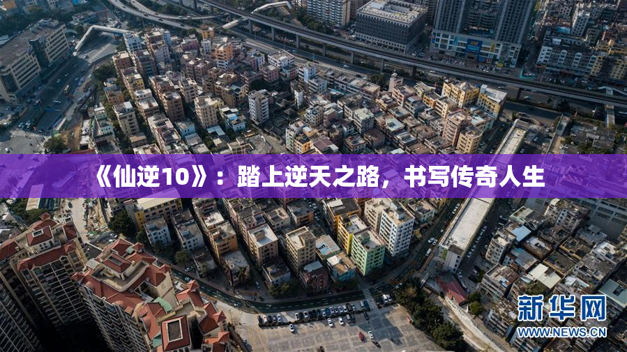 《仙逆10》：踏上逆天之路，书写传奇人生