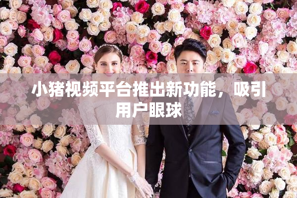小猪视频平台推出新功能，吸引用户眼球