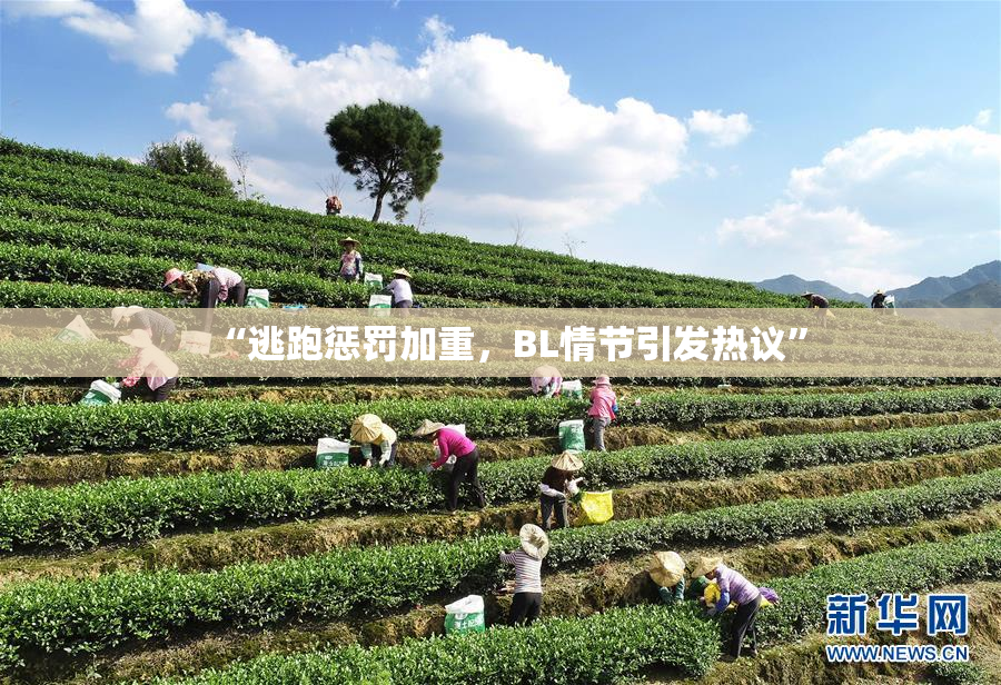 “逃跑惩罚加重，BL情节引发热议”
