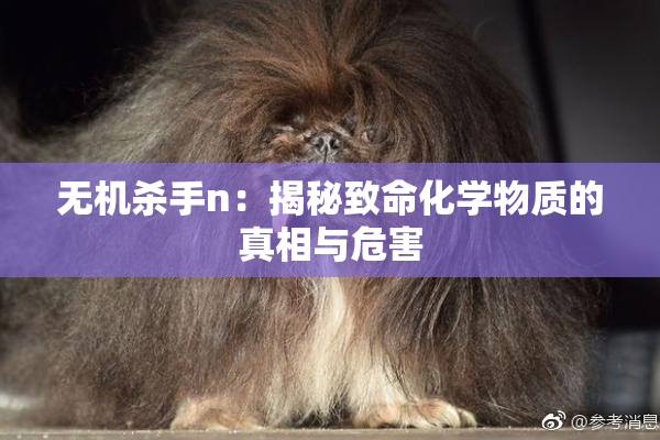 无机杀手n：揭秘致命化学物质的真相与危害