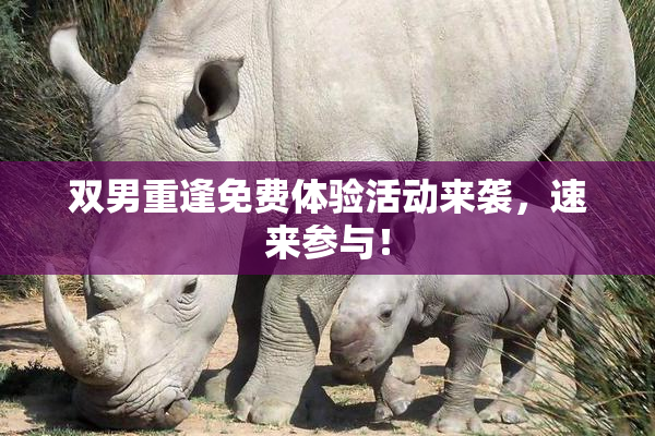 双男重逢免费体验活动来袭，速来参与！