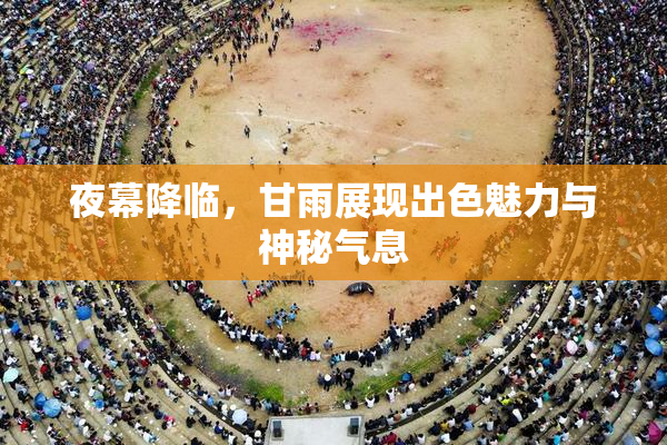 夜幕降临，甘雨展现出色魅力与神秘气息