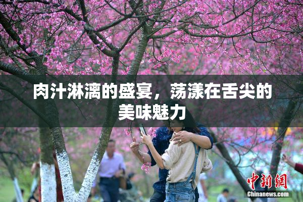肉汁淋漓的盛宴，荡漾在舌尖的美味魅力