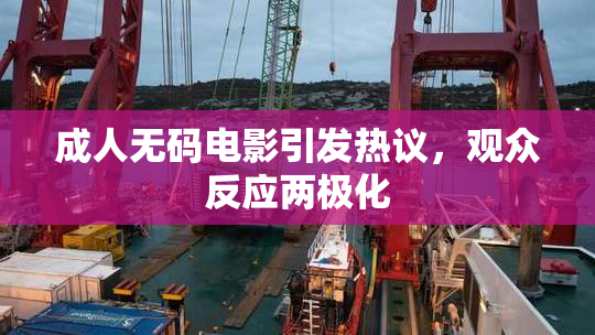 成人无码电影引发热议，观众反应两极化
