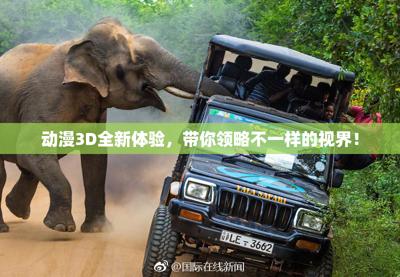 动漫3D全新体验，带你领略不一样的视界！