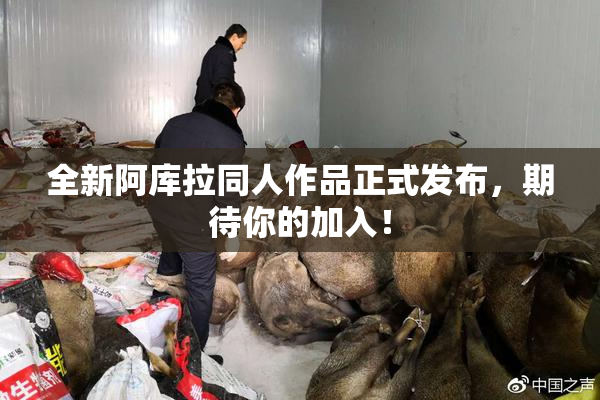 全新阿库拉同人作品正式发布，期待你的加入！