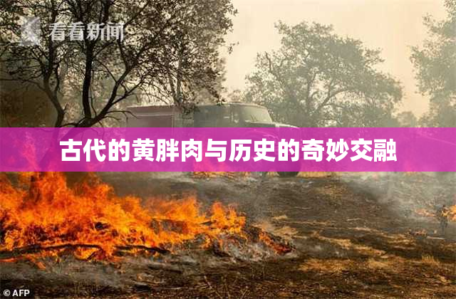 古代的黄胖肉与历史的奇妙交融