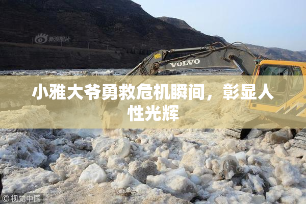 小雅大爷勇救危机瞬间，彰显人性光辉