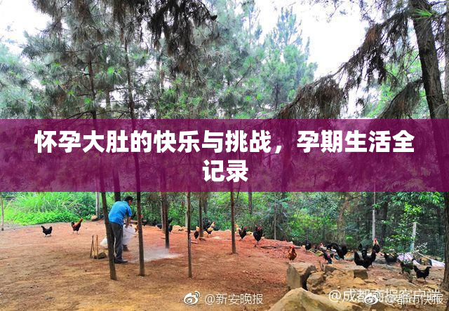 怀孕大肚的快乐与挑战，孕期生活全记录