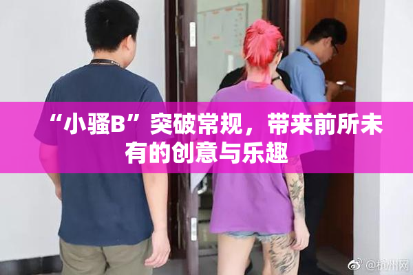 “小骚B”突破常规，带来前所未有的创意与乐趣