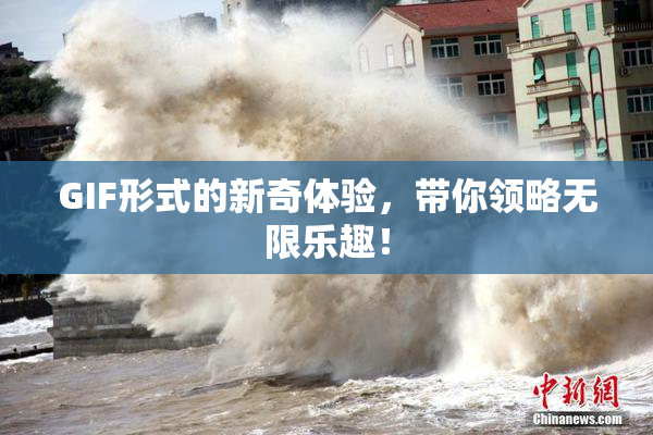 GIF形式的新奇体验，带你领略无限乐趣！