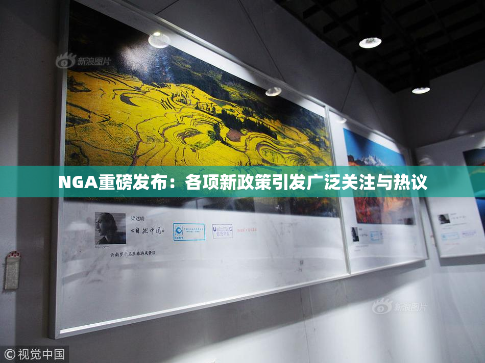 NGA重磅发布：各项新政策引发广泛关注与热议