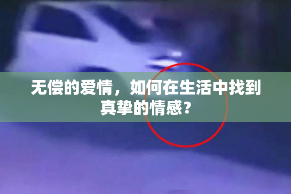 无偿的爱情，如何在生活中找到真挚的情感？
