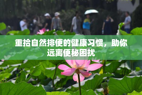 重拾自然排便的健康习惯，助你远离便秘困扰