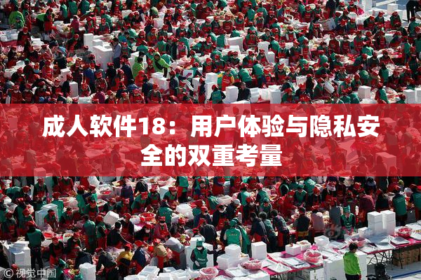 成人软件18：用户体验与隐私安全的双重考量