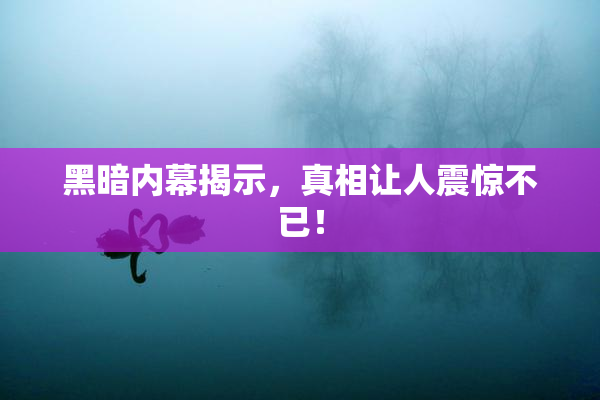 黑暗内幕揭示，真相让人震惊不已！