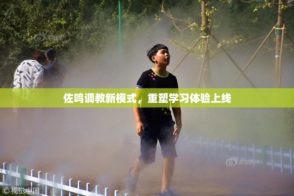 佐鸣调教新模式，重塑学习体验上线