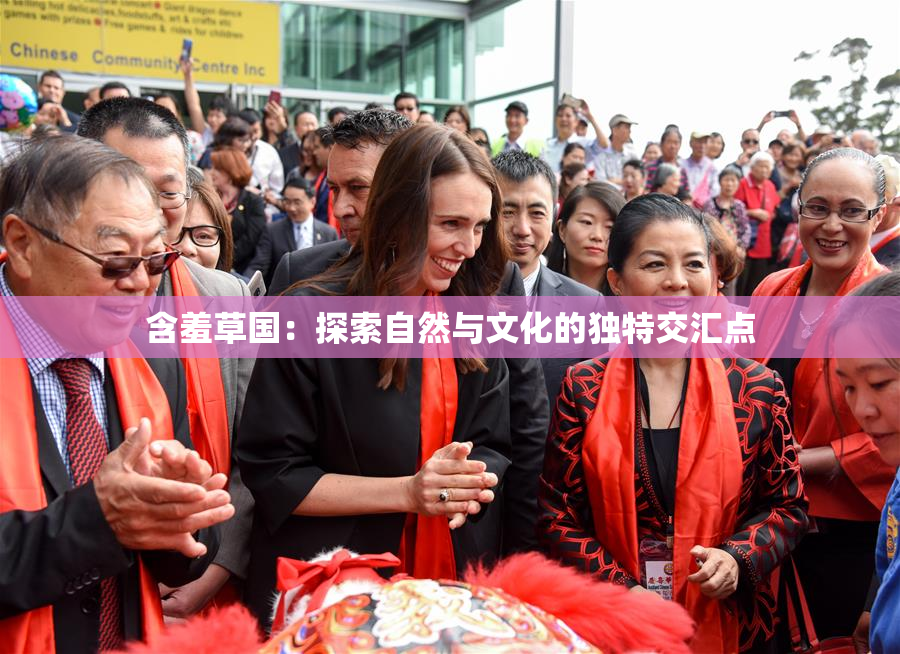 含羞草国：探索自然与文化的独特交汇点