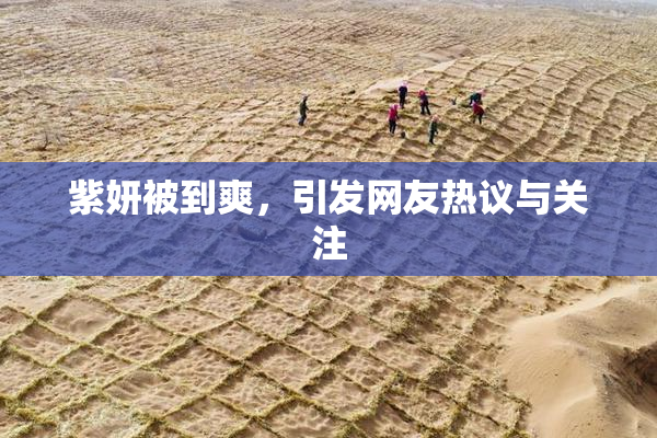 紫妍被到爽，引发网友热议与关注