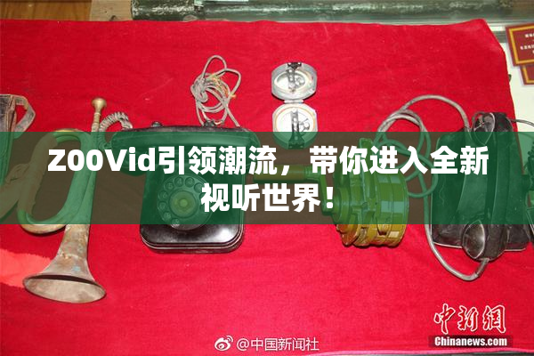 Z00Vid引领潮流，带你进入全新视听世界！