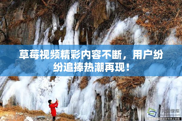 草莓视频精彩内容不断，用户纷纷追捧热潮再现！