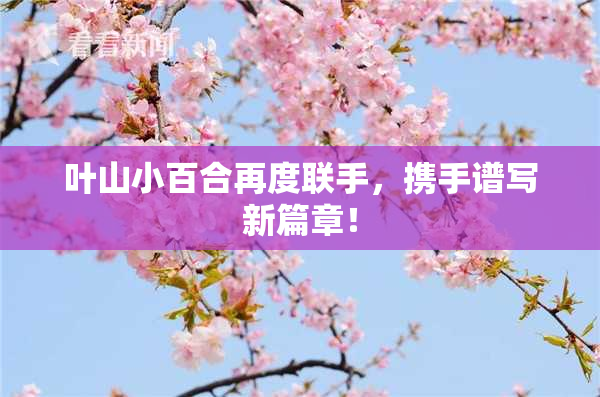叶山小百合再度联手，携手谱写新篇章！