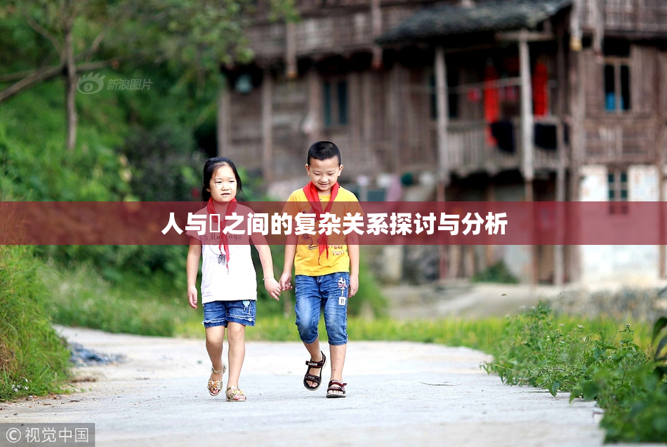 人与嘼之间的复杂关系探讨与分析