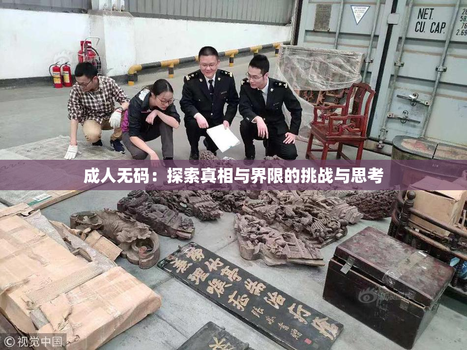 成人无码：探索真相与界限的挑战与思考