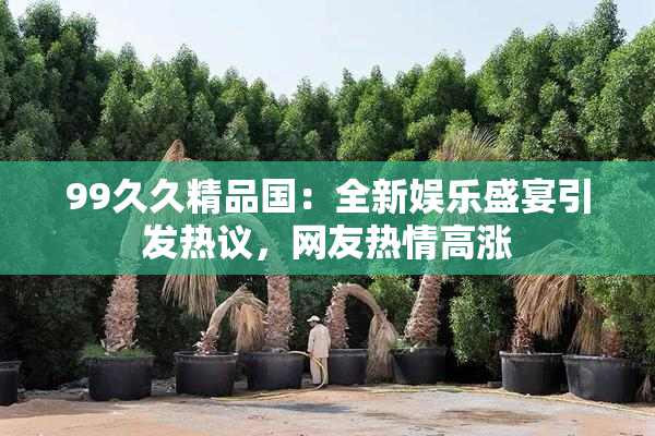 99久久精品国：全新娱乐盛宴引发热议，网友热情高涨