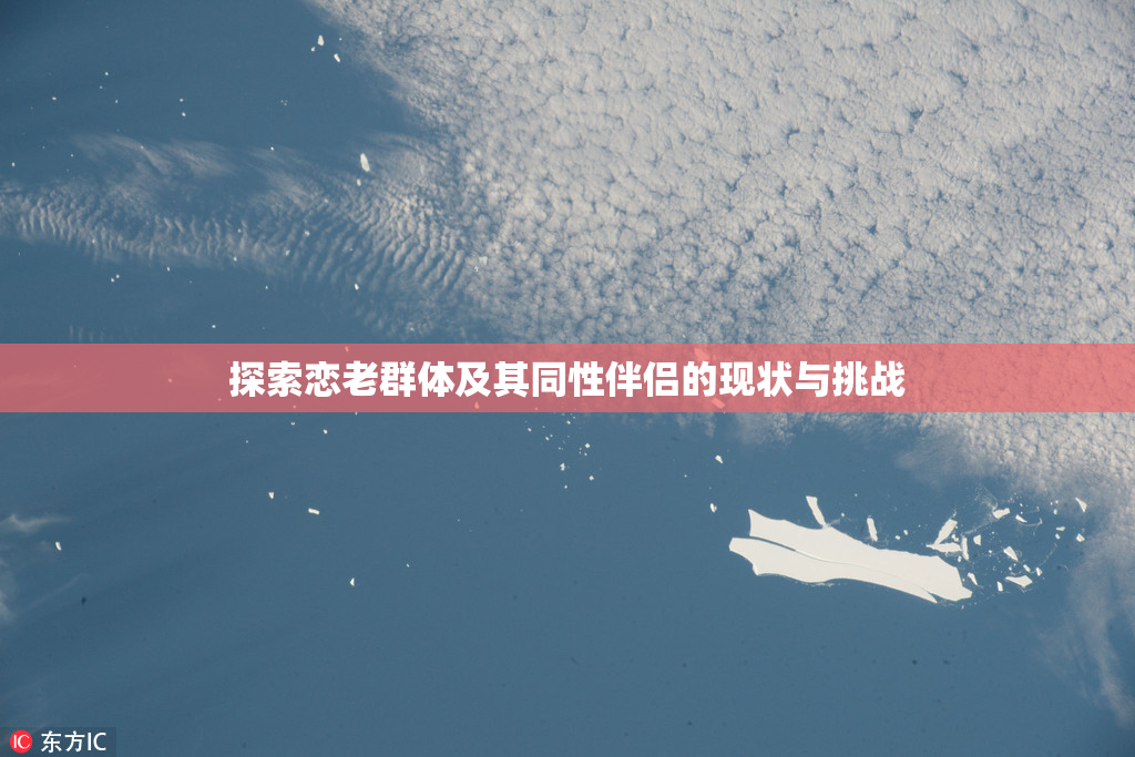 探索恋老群体及其同性伴侣的现状与挑战