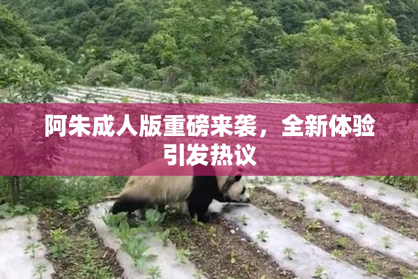 阿朱成人版重磅来袭，全新体验引发热议