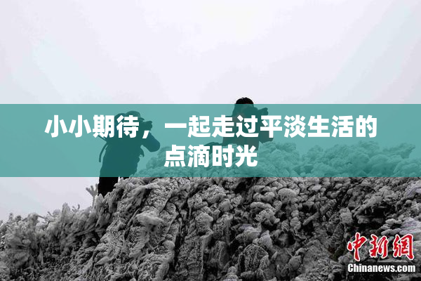 小小期待，一起走过平淡生活的点滴时光