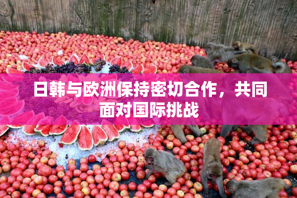 日韩与欧洲保持密切合作，共同面对国际挑战