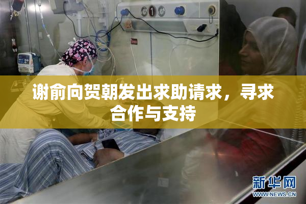 谢俞向贺朝发出求助请求，寻求合作与支持