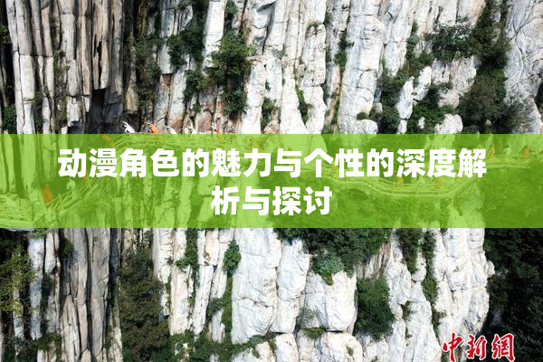 动漫角色的魅力与个性的深度解析与探讨