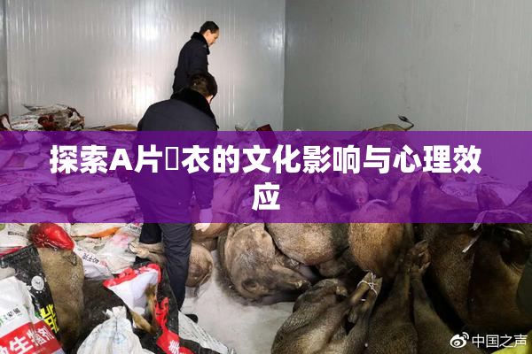 探索A片脫衣的文化影响与心理效应