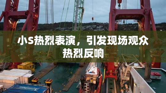小S热烈表演，引发现场观众热烈反响