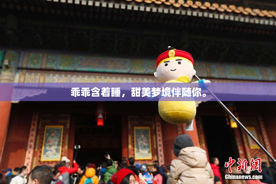 乖乖含着睡，甜美梦境伴随你。