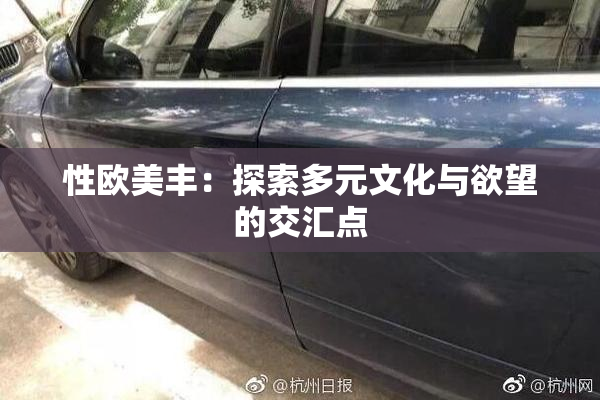 性欧美丰：探索多元文化与欲望的交汇点