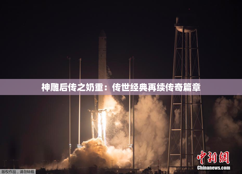 神雕后传之奶重：传世经典再续传奇篇章
