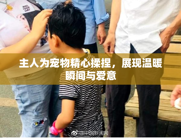 主人为宠物精心揉捏，展现温暖瞬间与爱意
