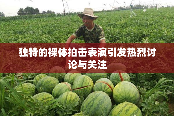 独特的裸体拍击表演引发热烈讨论与关注